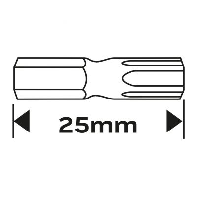 Końcówki wkrętakowe TX27x25mm 2szt, GRAPHITE 57H975 GTX (57-975)