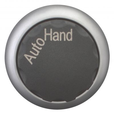 M22-WR-X91 Przełącznik 2 położeniowy z opisem AUTO-HAND czarny bez samopowrotu 216859 EATON (216859)