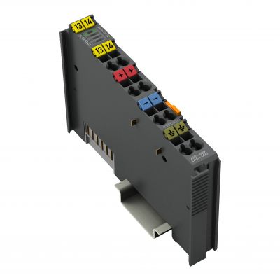 2-kanałowe wejście dwustanowe 220V DC 3ms XTR WAGO (750-407/040-000)