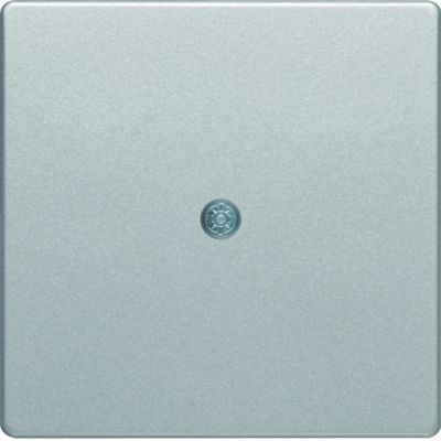 BERKER Q.x Płytka czołowa do przyłącza kablowego aluminium aksamit lakierowana 10196084 HAGER (10196084)