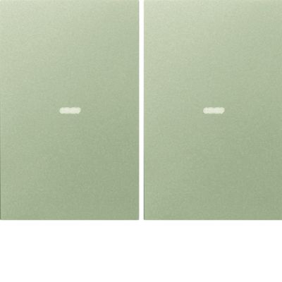 BERKER KNX e/s K.x Klawisze z soczewką do modułu przycisku podwójnego stal szlachetna lakierowana. 80960373 HAGER (80960373)
