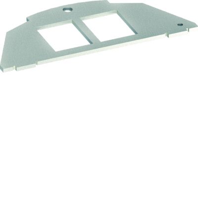 tehalit.VE-EE Płytka montażowa 2xRJ Typ 01 Keystone 19,3x14,8 (BSM012)