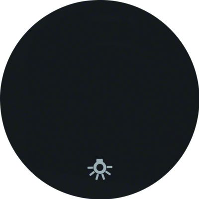 BERKER R.1/R.3 Klawisz nadrukowany symbol światło do łącznika klaw. pojedyncza czarny 16202035 HAGER (16202035)