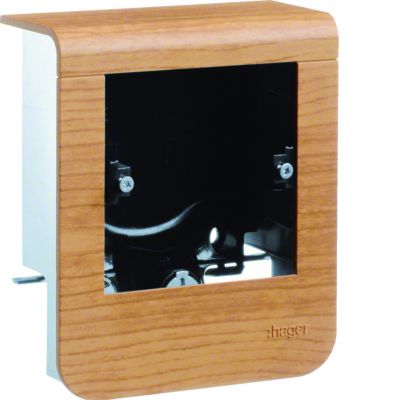 tehalit.SL Pusty nośnik urządzeń 20x55 fi60 buk SL20055901D2 HAGER (SL20055901D2)
