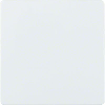 BERKER Płytka centralna do przyłącza czujników biały 75940409 HAGER (75940409)