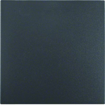 BERKER B.X Klawisz do łączników 1-klawiszowych antracyt mat 16201606 HAGER (16201606)