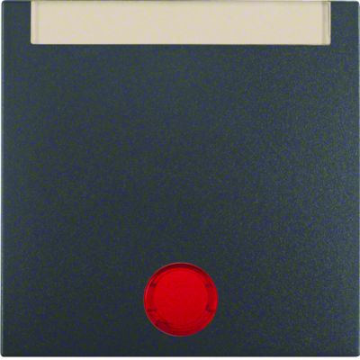 BERKER B.X Klawisz z 5 dołączonymi soczewkami i pole opisowe do łączników 1-klawiszowych antracyt mat 16281606 HAGER (16281606)