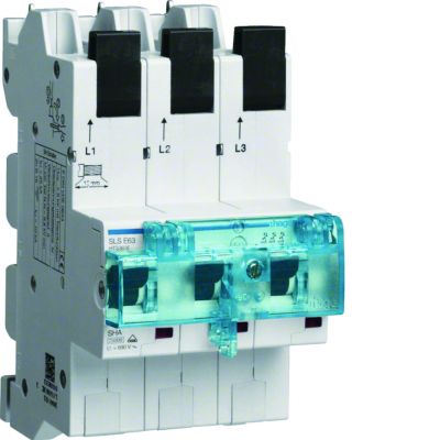 MCB SLS Wyłącznik nadprądowy selektywny 3P E 63 A szyny Cu 40-12x5/10mm HTS363E HAGER (HTS363E)