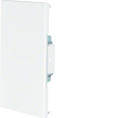 tehalit.BRS Końcówka 100x170 ocynk BRS1001706VERZ HAGER (BRS1001706VERZ)