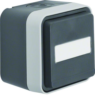 BERKER W.1 Gniazdo SCHUKO 2P+Z z polem opisowym kompletne IP55 szary 47413515 HAGER (47413515)