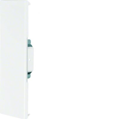 tehalit.BRS Końcówka 65x210 ocynkowana BRS652106VERZ HAGER (BRS652106VERZ)