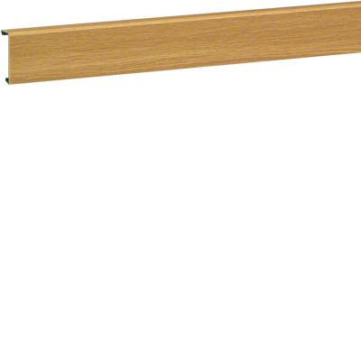 tehalit.SL Pokrywa 20x55 dąb SL200552D5 HAGER (SL200552D5)