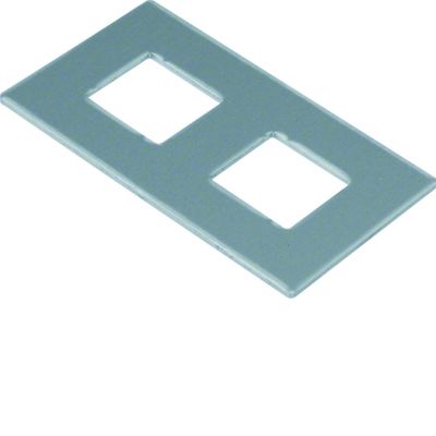 tehalit.GB-EG Płytka montażowa GTVD2/300 2xRJ45 17,2x18,3 aluminium GTVDM042 HAGER (GTVDM042)