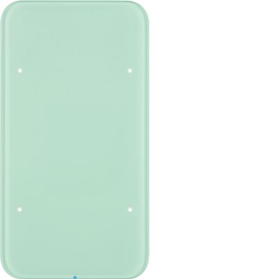 BERKER R.1 Sensor dotykowy 1-krotny szkło biały 75141860 HAGER (75141860)