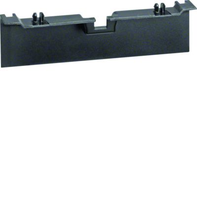 tehalit.SL Maskownica nośnika 20x80 czarny SL20080A9011 HAGER (SL20080A9011)