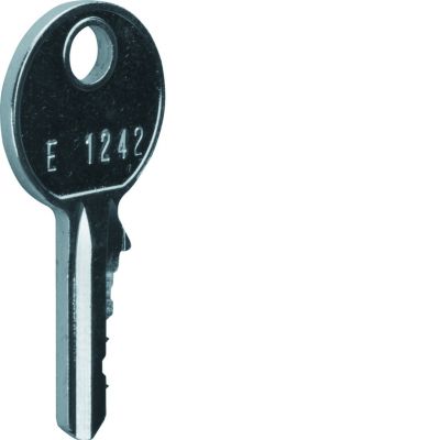 univers Klucz zapasowy do zamka FZ597 1242E IP44/IP54 FZ596 HAGER (FZ596)