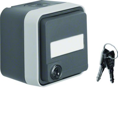 BERKER W.1 Gniazdo SCHUKO 2P+Z na klucz z polem opisowym różne zamki kompletne IP55 szary 47393505 HAGER (47393505)