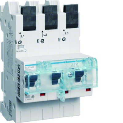MCB SLS Wyłącznik nadprądowy selektywny 3P Cs 63 A szyny Cu 40-12x5/10mm HTS363C HAGER (HTS363C)