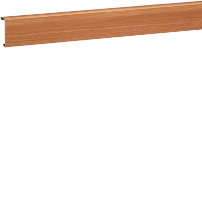 tehalit.SL Pokrywa 20x55 buk SL200552D2 HAGER (SL200552D2)