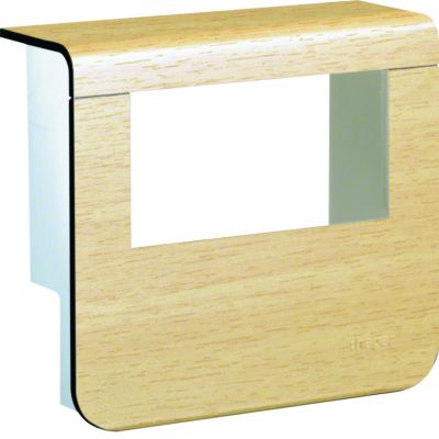 tehalit.SL Pokrywa nośnika urządzeń 20x55 2*45x45 klon SL20055932D3 HAGER (SL20055932D3)
