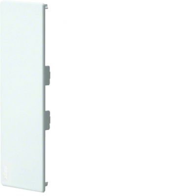 tehalit.BRAP Maskownica przebicia 65x170 stal aluminium BRAP65170WLAN HAGER (BRAP65170WLAN)