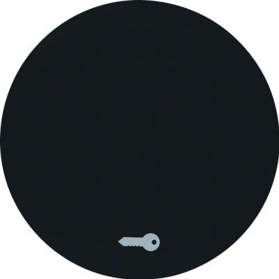 BERKER R.1/R.3 Klawisz nadrukowany symbol klucz do łącznika klaw. pojedyncza czarny 16202015 HAGER (16202015)