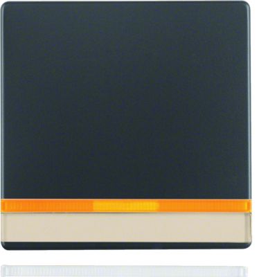 BERKER Q.x Klawisz z 2 dołączonymi soczewkami i z polem opisowym do łącznika 1-klawiszowego antracyt aksamit 16286086 HAGER (16286086)