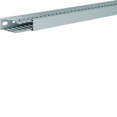 tehalit.BA7 Kanał grzebieniowy 60x25 szary BA760025 HAGER (BA760025)