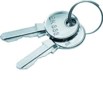 univers Klucz zapasowy do zamków FZ531N+FZ533N 1333 IP44/IP54 FZ539 HAGER (FZ539)
