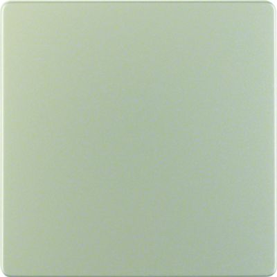 BERKER Płytka centralna do przyłącza czujników stal szlachetna lakierowana 75940403 HAGER (75940403)