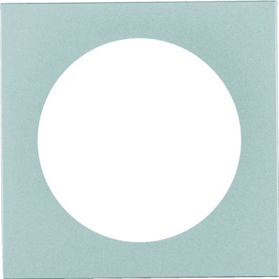 Integro Ramka 1-krotna, stal szl, lak (919752524)