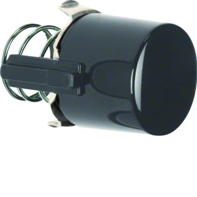 BERKER Serie 1930/Glas Przycisk do łącznika i sygnalizatora E10 czarny 122501 HAGER (122501)