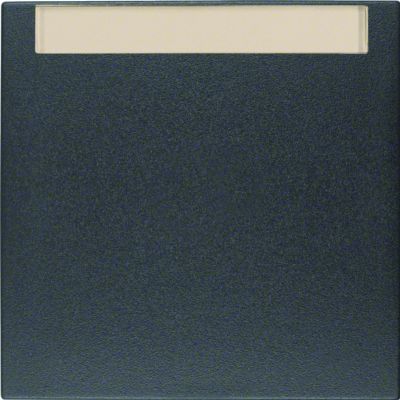 Berker B.1/B.3/B.7 Klawisz pole opisowe do łączników 1-klawiszowych antracyt mat 16261606 HAGER (16261606)