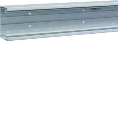tehalit.BRP Kanał PVC podstawa 65x100 jasnoszary BRP6510017035 HAGER (BRP6510017035)