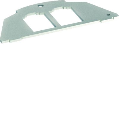 tehalit.VE-EE Płytka montażowa 2xRJ Typ 03 BTR 19,5x14,85 (BSM032)