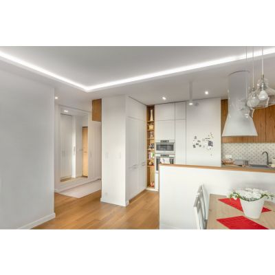 GTV SUFITOWA OPRAWA PUNKTOWA MORENA, IP20, KWADRAT, INOX OP-OPRKW1-80 (OP-OPRKW1-80)