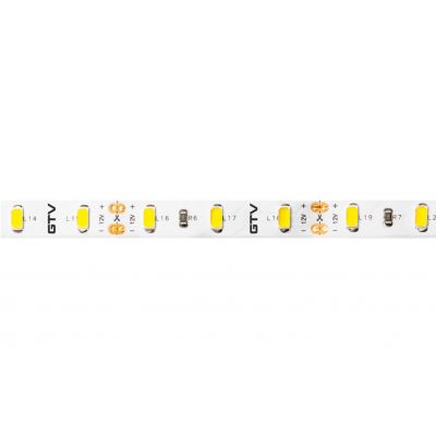 GTV TAŚMA FLASH 5630, 300 LED CIEPŁY BIAŁY, 80W BEZ ŻELU 10mm, ROLKA 5m LD-5630-300-20-CB (LD-5630-300-20-CB)