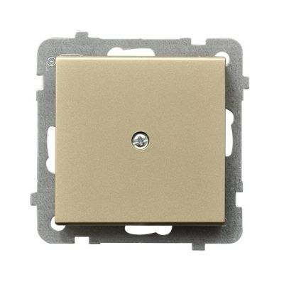 SONATA Zaślepka kolor szampański złoty Z-1R/m/39 OSPEL (Z-1R/m/39)