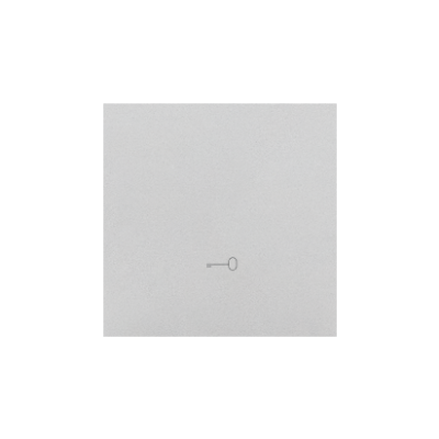 Simon 55 Klawisz pojedynczy z piktogramem /klucz/ do łączników/przycisków Aluminium mat TKWK1/143 KONTAKT (TKWK1/143)