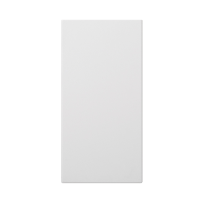 Simon Connect Zaślepka S500 podwójna 100x50mm czysta biel 50000800-030 KONTAKT (50000800-030)