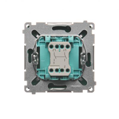 Simon Basic Łącznik dwubiegunowy 10A 250V szybkozłączka zielony BMW2.01/33 KONTAKT (BMW2.01/33)
