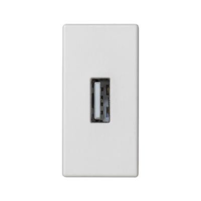 Simon Connect Płytka K45/2 złącza USB typ A żeńskie 225x45mm + gniazdo zaciski śrubowe czysta biel K128B/9 KONTAKT (K128B/9)