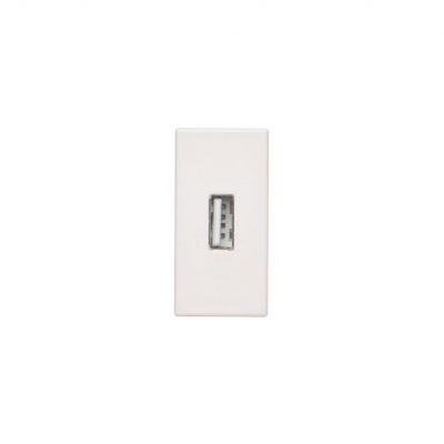 Simon Connect Płytka K45/2 złącza USB typ A żeńskie 225x45mm + gniazdo zaciski śrubowe czysta biel K128B/9 KONTAKT (K128B/9)