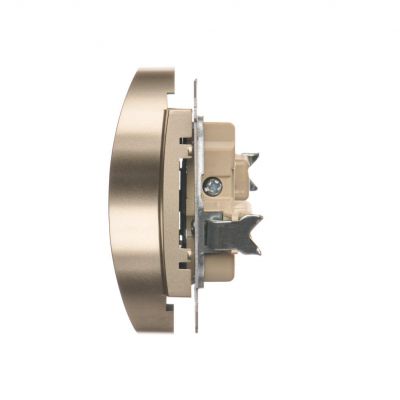 Simon 54 Nature Gniazdo wtyczkowe bez uziemienia z przesłonami podwójne do ramek NATURE 16A 250V zaciski śrubowe złoty mat DG2MZN.01/44 KONTAKT (DG2MZN.01/44)