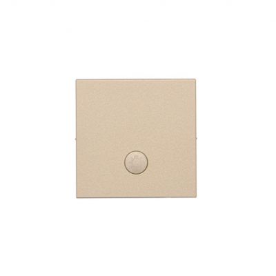 Simon 55 Klawisz pojedynczy z oczkiem z piktogramem /światło/ do: SP1M Szampański mat TKWS1L/144 KONTAKT (TKWS1L/144)