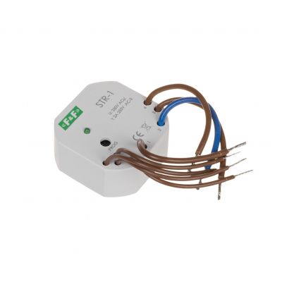 Sterownik roletowy jednoprzyciskowy napięcie 230V AC STR-2 F&F (STR-2)