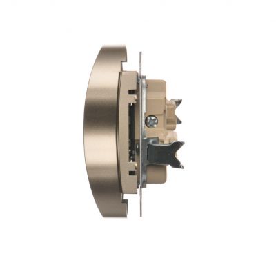 Simon 54 Nature Gniazdo wtyczkowe z uziemieniem z przesłonami podwójne do ramek NATURE 16A 250V zaciski śrubowe złoty mat DGZ2MZN.01/44 KONTAKT (DGZ2MZN.01/44)