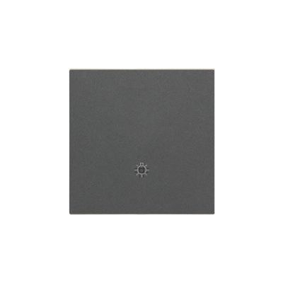 Simon 55 Klawisz pojedynczy z piktogramem /światło/ do: SP1M Grafitowy mat TKWS1/116 KONTAKT (TKWS1/116)