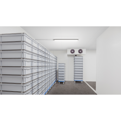 Oprawa hermetyczna Ledinaire WT060C 46W 5600lm IP66 4000K barwa neutralna 150cm PHILIPS (911401876880)