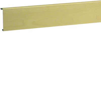 tehalit.SL Pokrywa 20x80 klon SL200802D3 HAGER (SL200802D3)